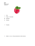 Strawberry DNA Extraction Lab [1/13/2016]