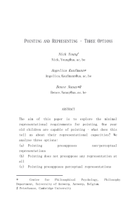 Pointing and Representing – Three Options