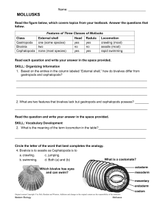 MOLLUSKS Read the figure below, which covers topics from your