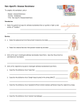 Endocrine System: Overview