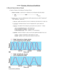 Lecture: Physiology of Hearing and Equilibrium