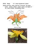 NOTES SEXUAL REPRODUCTION IN PLANTS f