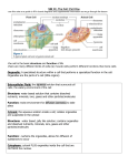 SBI 3C- The Cell: Part One -use this note as a guide to fill in board