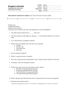 Worksheet 5-Kingdom Animalia