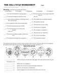 the cell cycle worksheet - Home