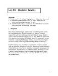 Mendelian Genetics