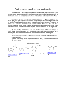 Auxin and other signals on the move in plants Auxins are a class of