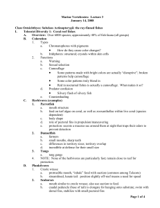 Marine Vertebrates: Lecture 3