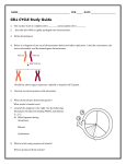 CELL CYCLE Study Guide The nuclear state of a diploid cell is