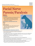 facial_nerve_paresis_paralysis