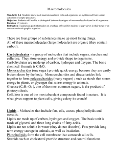 Macromolecules