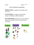 Life Science - St. Aidan School