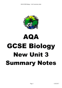 New Unit 3 summary notes13mb