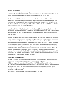 Physio Lecture 5 Erythropoiesis