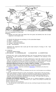 Activity Sheet on Food Chain, Food Web and