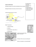 Chapter 48 Worksheet