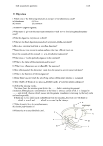 Digestion - questions