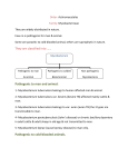 Mycobacterium - KSU Faculty Member websites