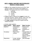 unit 3: animal anatomy and physiology