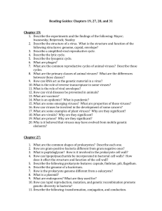 Reading Guides 19, 27, 28, 30