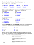 Genetics Practice Problems - Simple Worksheet