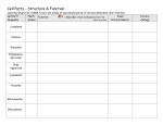 Cell Parts (Organelles)