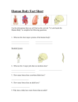 Human Body Fact Sheet - Computer Kiddos Wiki