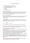 Energy Production