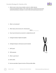 Essential Biology 04: Genetics (HL) DNA structure review: draw and