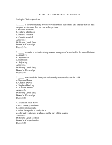 life-span-development-13th-edition-santrock-test-bank