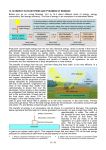 15.10 Energy in ecosystems and pyramids of biomass