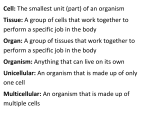Important Cell Vocabulary Definitions