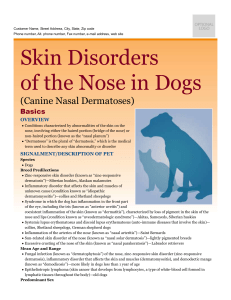 skin_disorders_of_the_nose