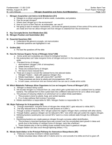 Nitrogen Acquisition and Amino Acid Metabolism