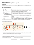 Pedigree Worksheet - Mr. Rows` Science Page