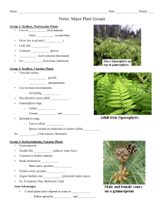 Name: Date: Period: ____ Notes: Major Plant Groups Group 1