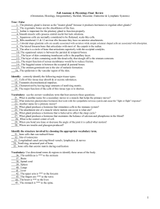 Fall Anatomy Final Review 11