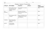 lessonuploads/Chapter 1 Section 2 vocab chart HO