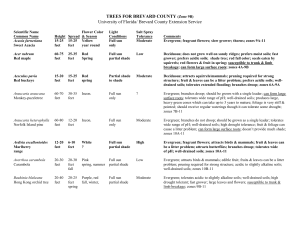 Trees Document