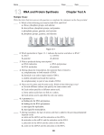 Practice Test Chapter 13 RNA