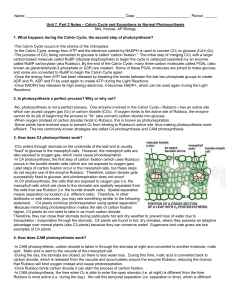 Chapter 6- Cell Structure and Function