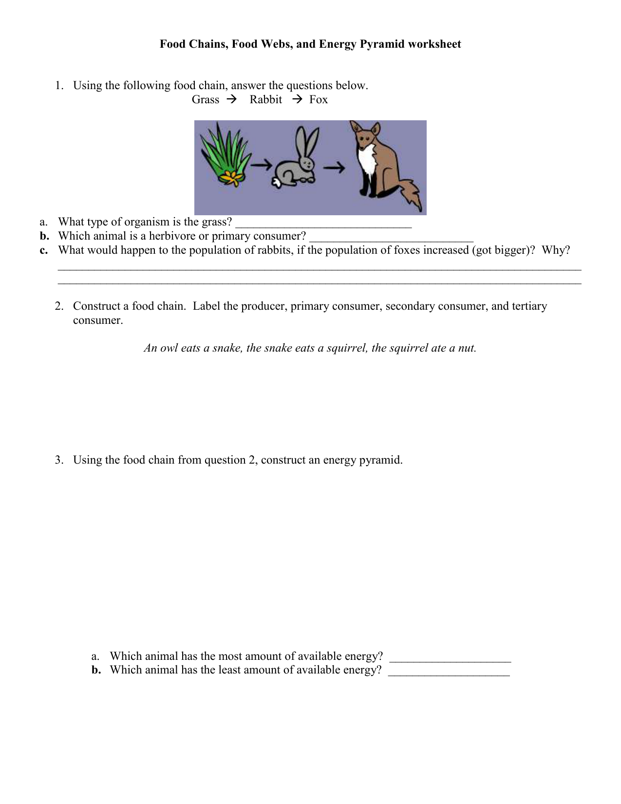 Worksheets Food Chains And Food Webs Worksheet food chains webs and energy pyramid