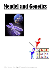 Mendel and Genetics Intro – Period 2 CP Biology