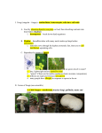 Fungi – Notes