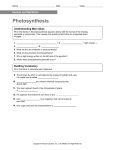 Photosynthesis Review