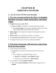 D. Vertebrate Nervous Systems
