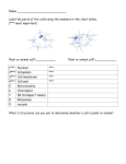 ILS review WS