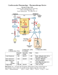 Drug Summary Review: HT, CG, Ang, Arr