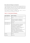 27. Minor Bacterial Pathogens