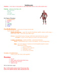 2. Proteins